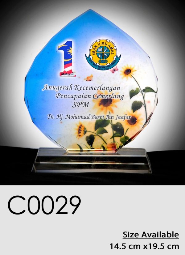 C0029 Crystal Plaque